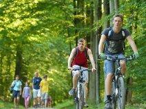 De Bosbeekpoort Villa Opglabbeek Bilik gambar
