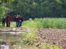 De Bosbeekpoort Villa Opglabbeek Bilik gambar